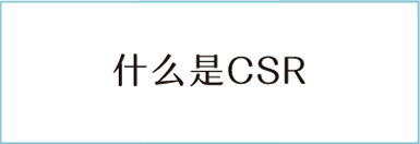 什么是CSR