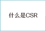 什么是CSR